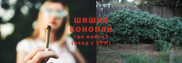 каннабис Верея