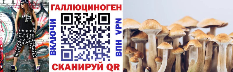 Купить где Обоянь Галлюциногенные грибы мицелий
